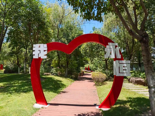体育投注网站