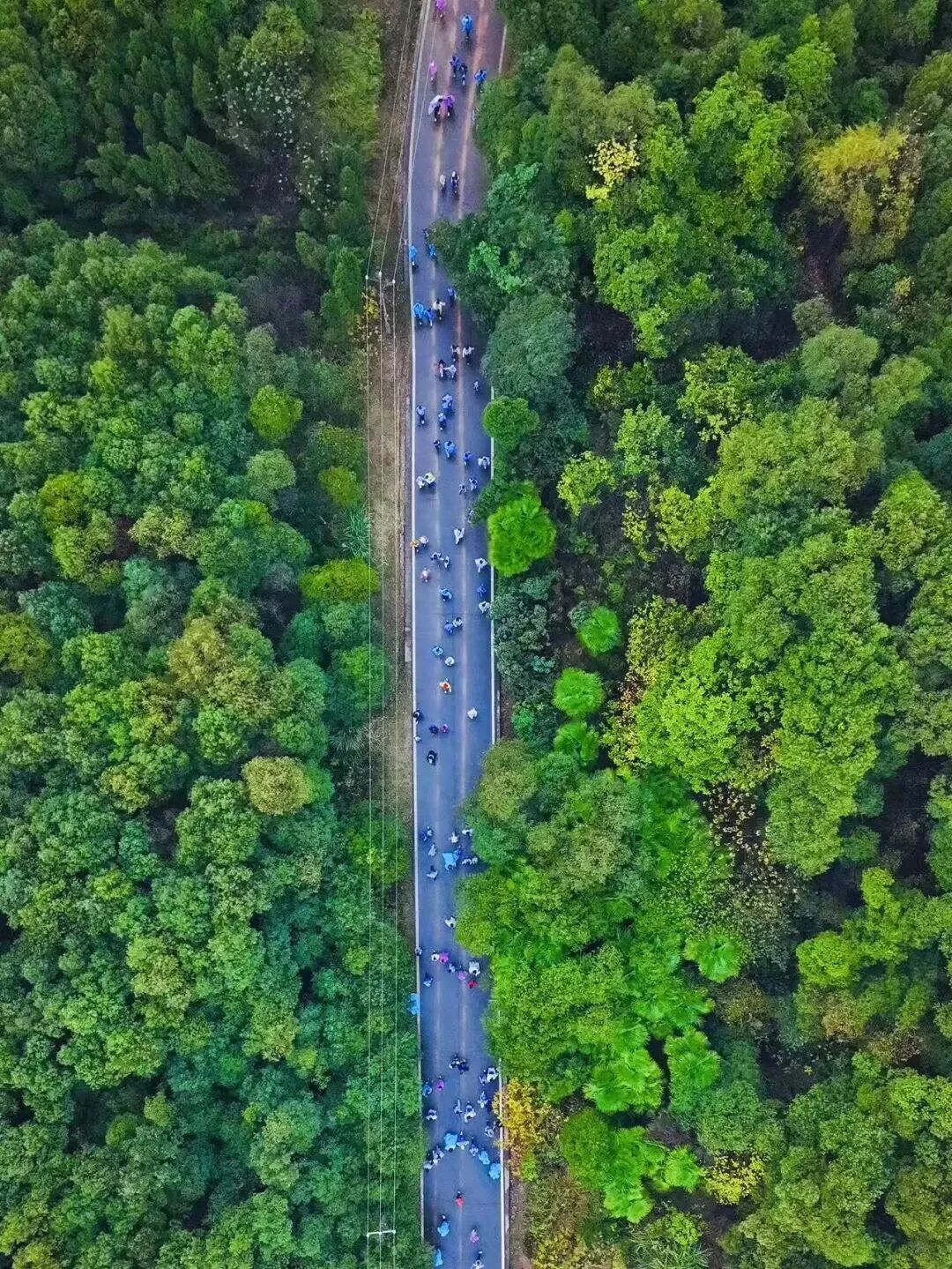 4.jpg 体育投注网站